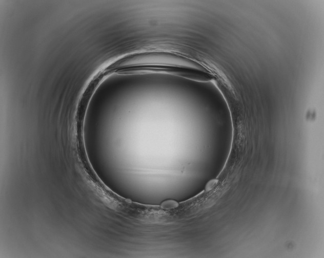 X0000097490784200802221414