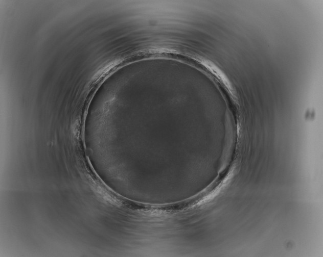 X0000097490785200802221414
