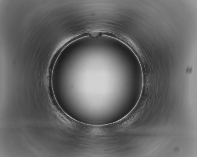 X0000097490787200802221414