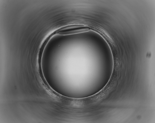 X0000097490788200802221414