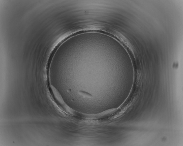 X0000097490789200802221414