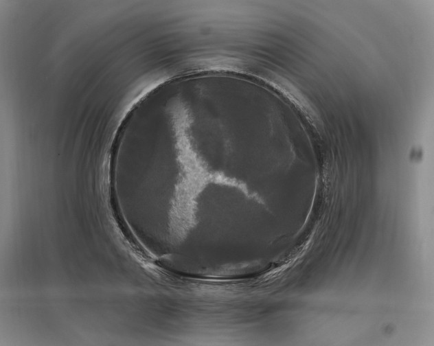 X0000097490790200802221414