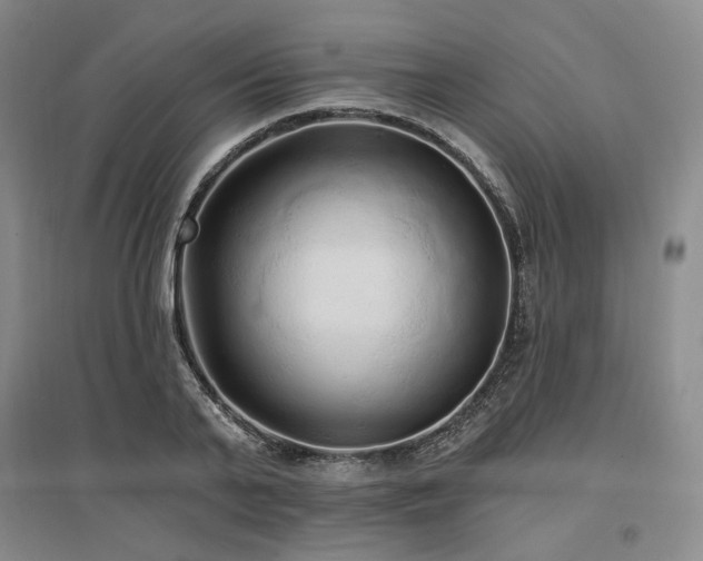 X0000097490791200802221414