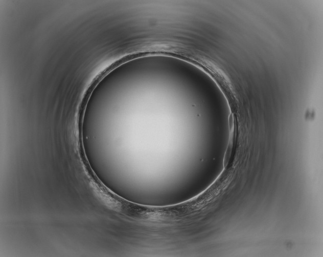 X0000097490792200802221414