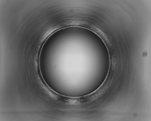 X0000097490794200802221414