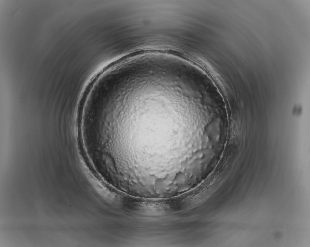 X0000097490795200802221414