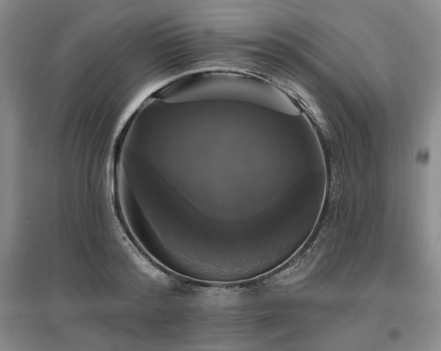 X0000097490796200802221414