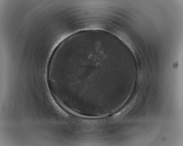 X0000097490797200802221414