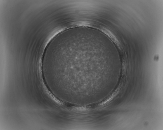 X0000097490798200802221414