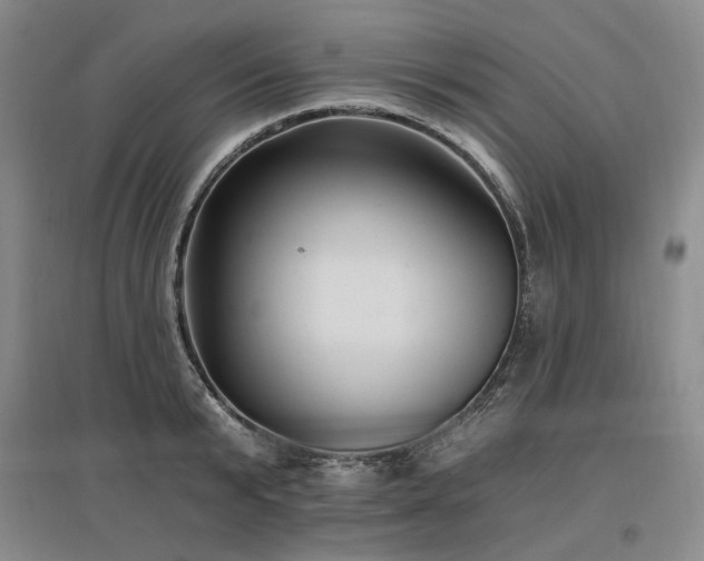 X0000097490799200802221414