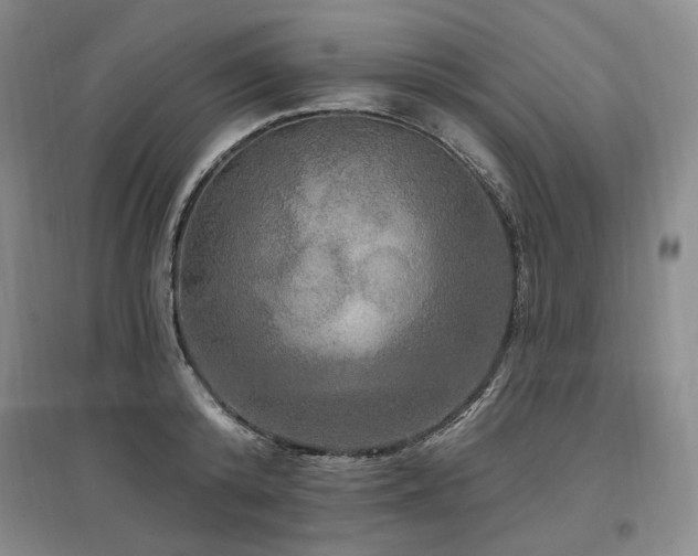 X0000097490800200802221414