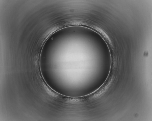 X0000097490801200802221414