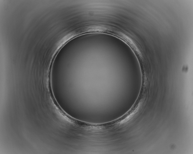 X0000097490802200802221414