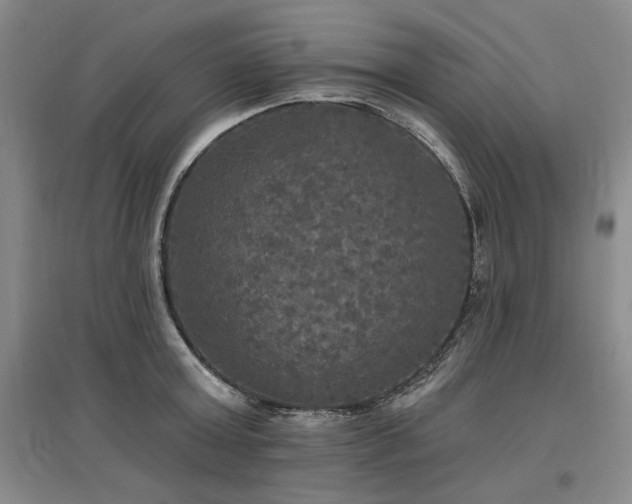 X0000097490803200802221414