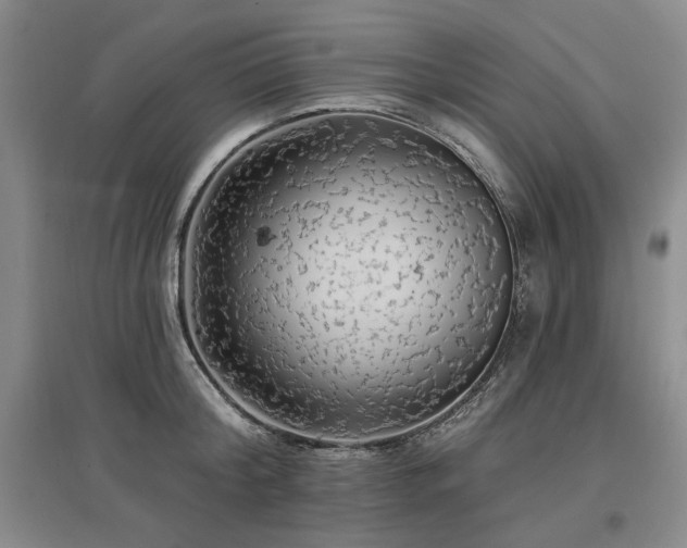 X0000097490804200802221414
