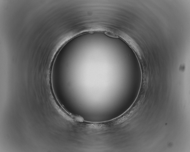 X0000097490805200802221414