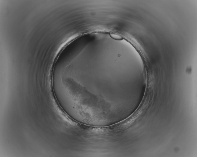 X0000097490806200802221414