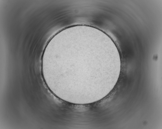 X0000097490807200802221414