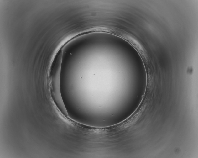 X0000097490808200802221414