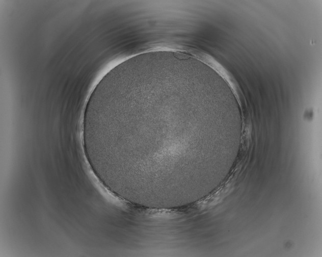 X0000097490811200802221414