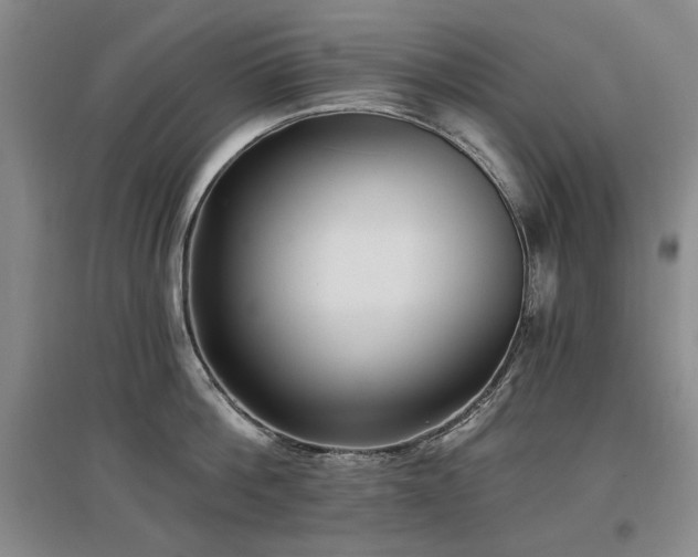 X0000097490812200802221414