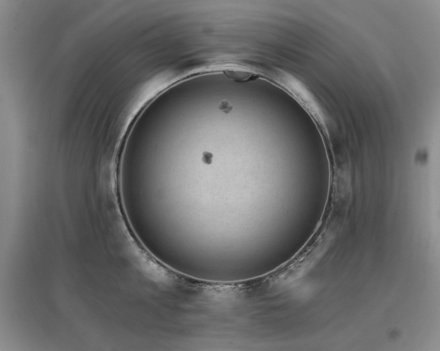 X0000097490813200802221414