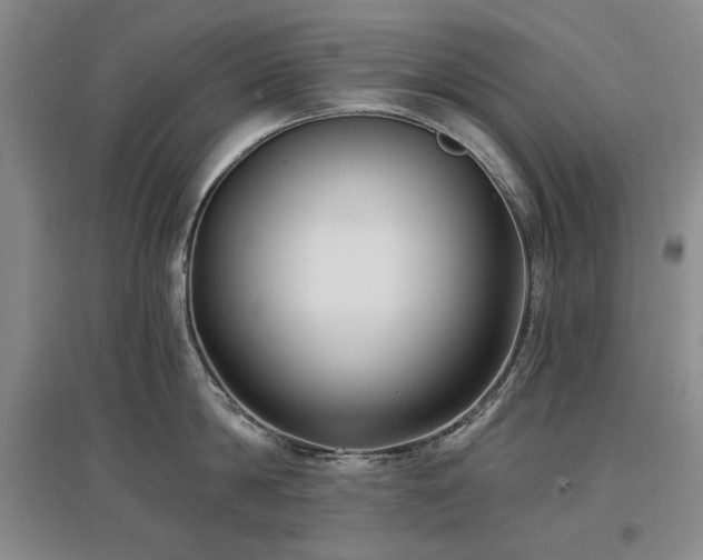 X0000097490814200802221414