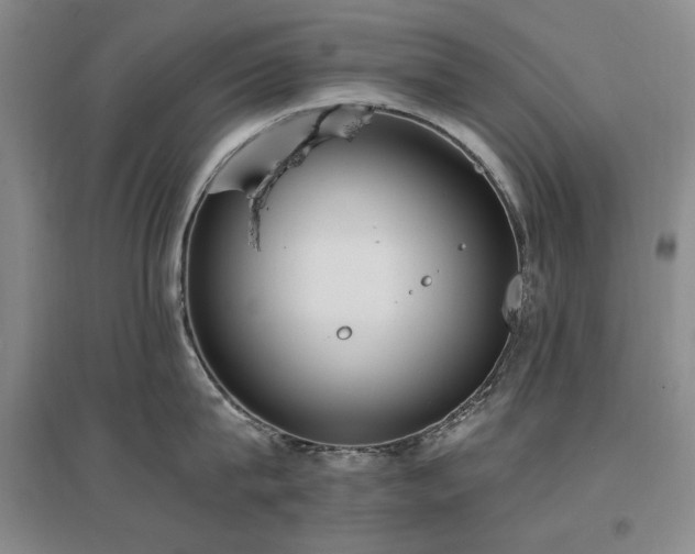 X0000097490815200802221414