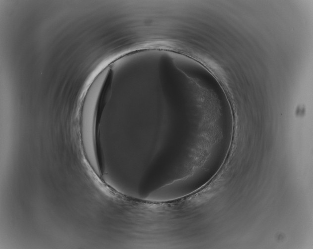 X0000097490816200802221414