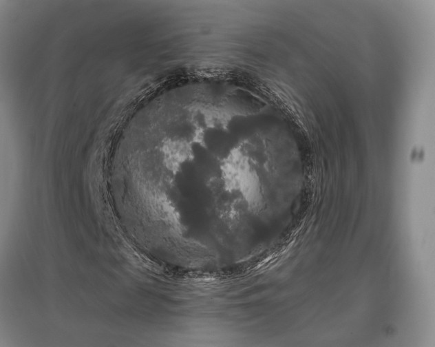 X0000097490817200802221413