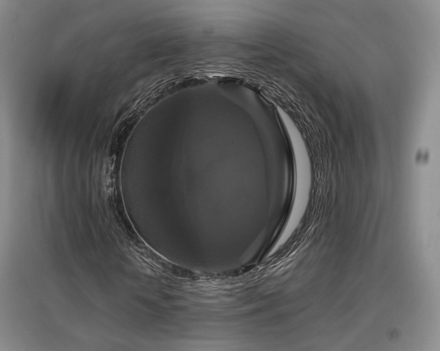X0000097490818200802221413
