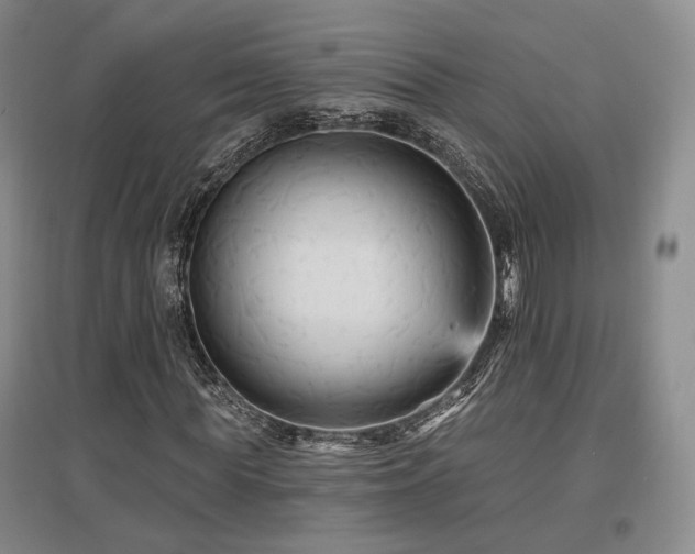X0000097490819200802221413