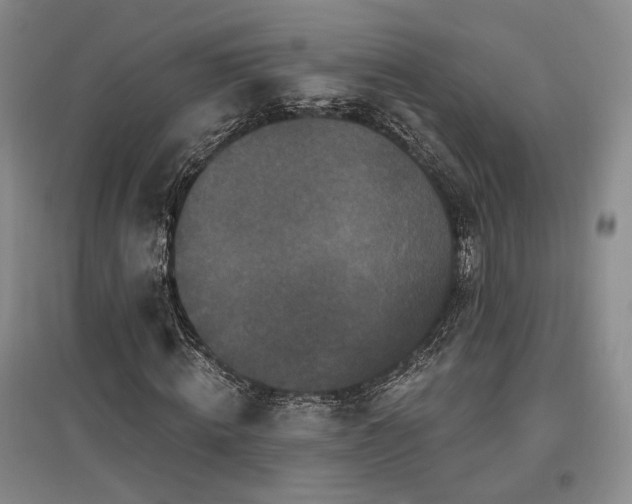 X0000097490820200802221413