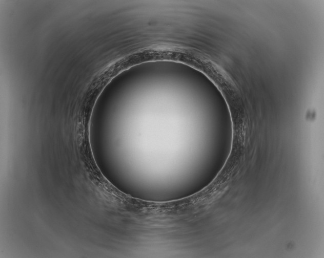 X0000097490821200802221413