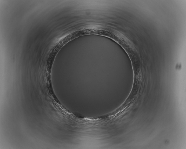 X0000097490822200802221413