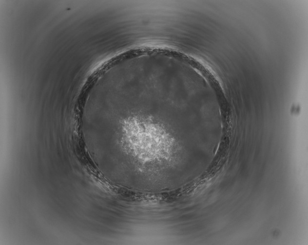 X0000097490823200802221413