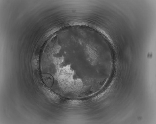 X0000097490825200802221413