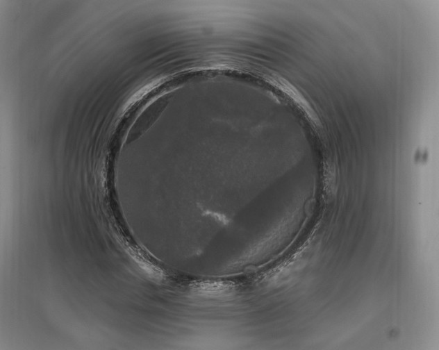 X0000097490826200802221413