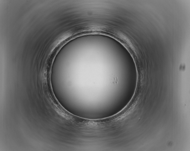 X0000097490827200802221413