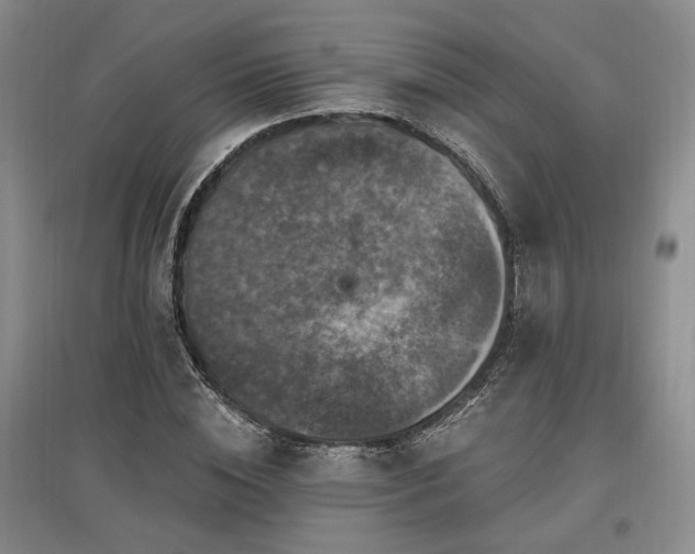 X0000097490828200802221413