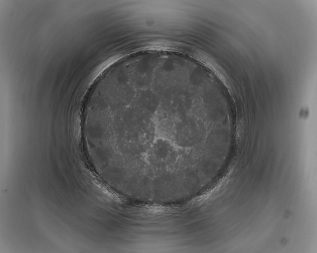 X0000097490829200802221413