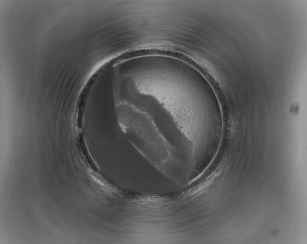 X0000097490830200802221413