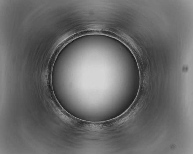 X0000097490831200802221413