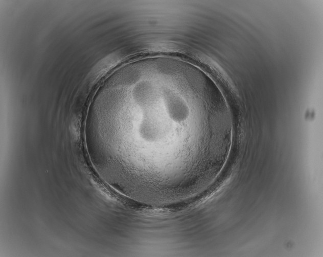 X0000097490833200802221413