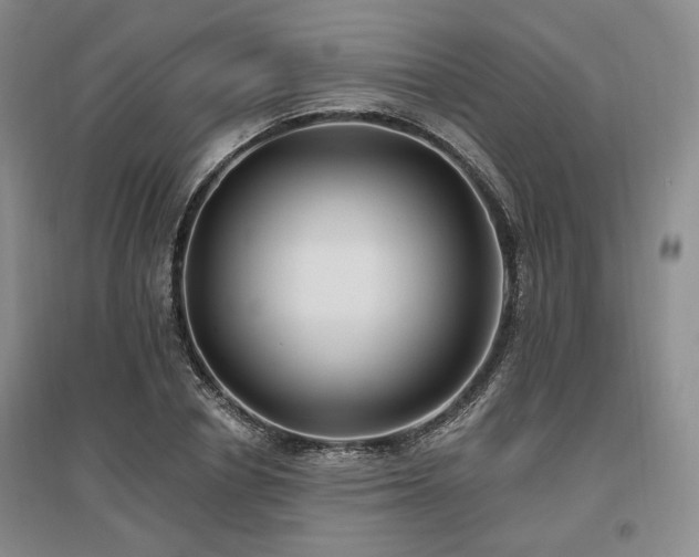 X0000097490834200802221413
