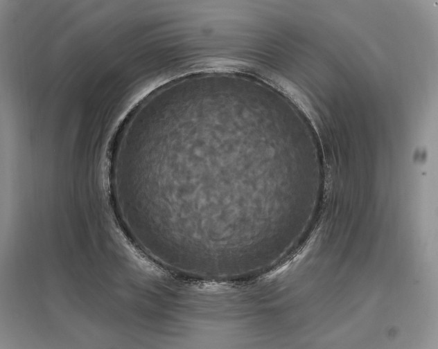 X0000097490835200802221413