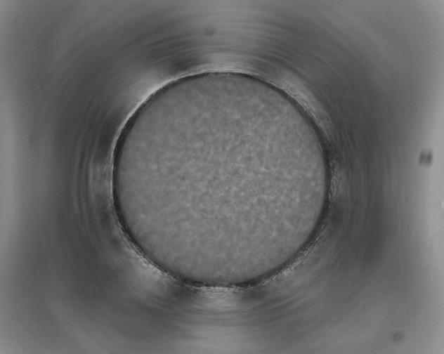 X0000097490836200802221413