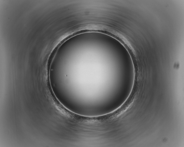 X0000097490837200802221413
