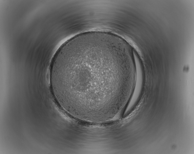 X0000097490838200802221413