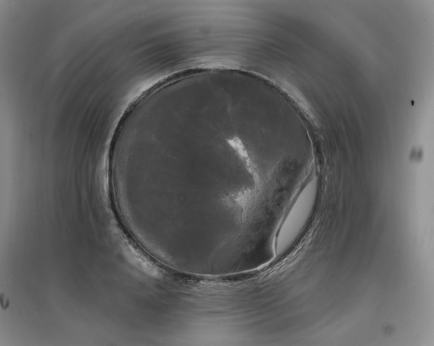 X0000097490840200802221413